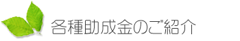 各種助成金のご紹介